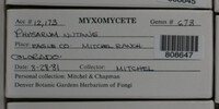 Image Associated With the Occurence